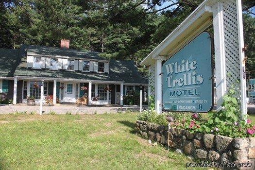 White Trellis Motel Норт-Конвей Экстерьер фото